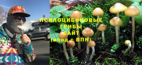альфа пвп Богородицк