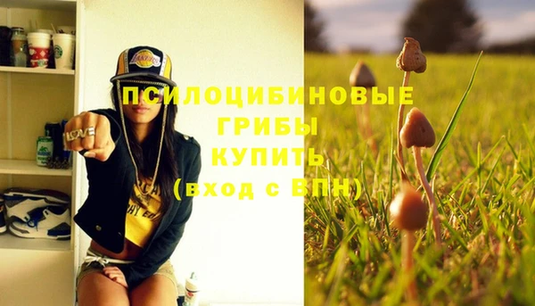 крисы Богданович