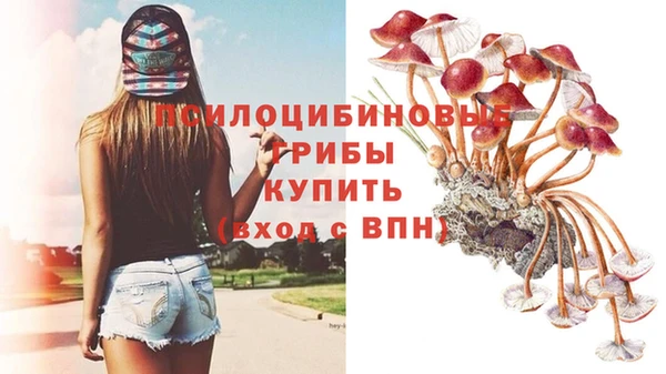 ГАЛЛЮЦИНОГЕННЫЕ ГРИБЫ Белоозёрский