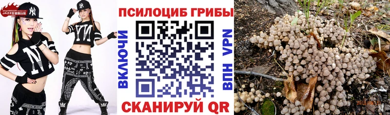 наркота  Невель  нарко площадка Telegram  Галлюциногенные грибы GOLDEN TEACHER 
